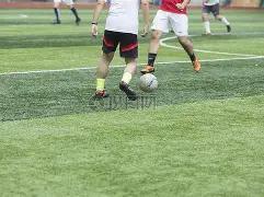 小冰观战,库普斯对决,中日德兰,万博体育平台,万博体育官方网站,万博体育登录入口,万博体育app下载