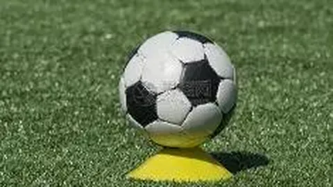 万博体育 资讯 133047 534