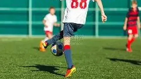 万博体育 资讯 133101 j2c