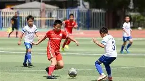 福建女排在全运会资格赛中战胜云南夺冠